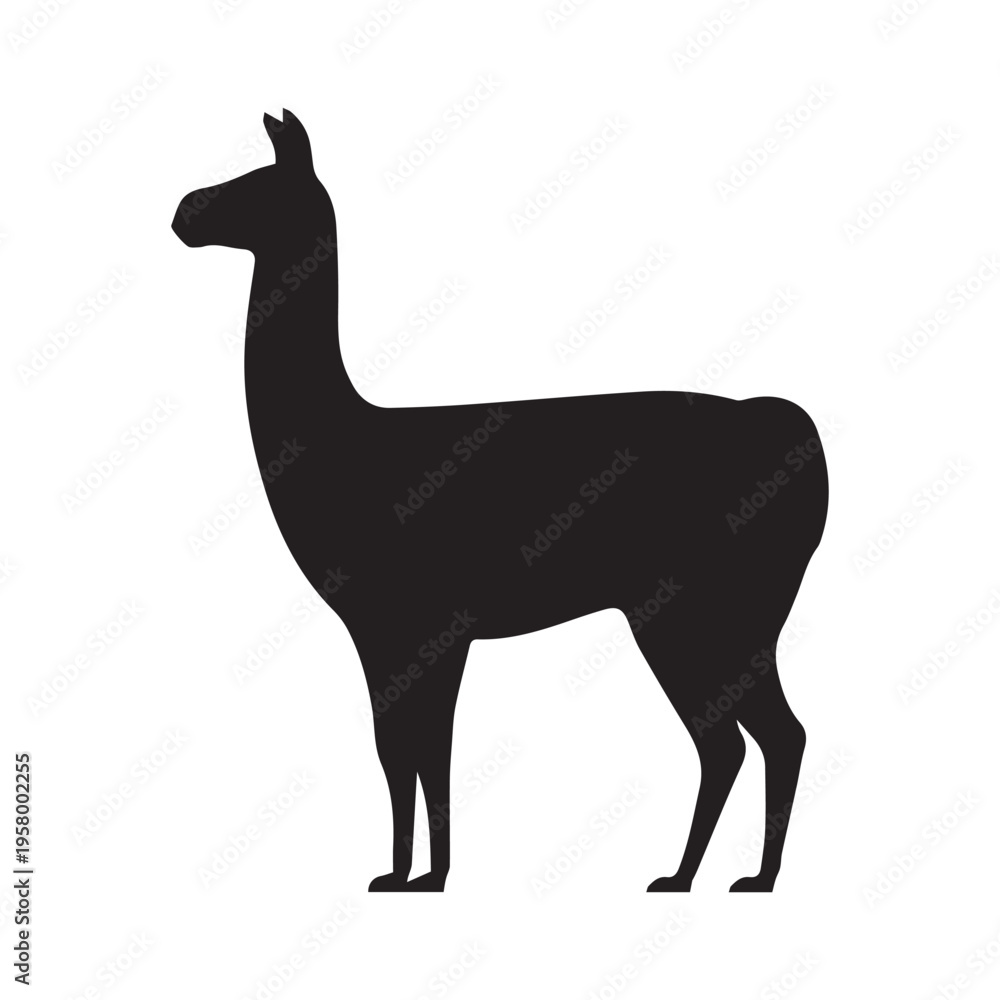 Fototapeta premium Llama silhouette isolated on white 