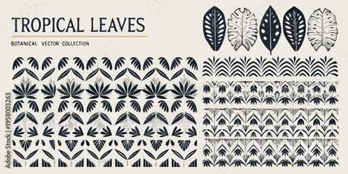 Stylized tropical leaves and botanical patterns in black and white