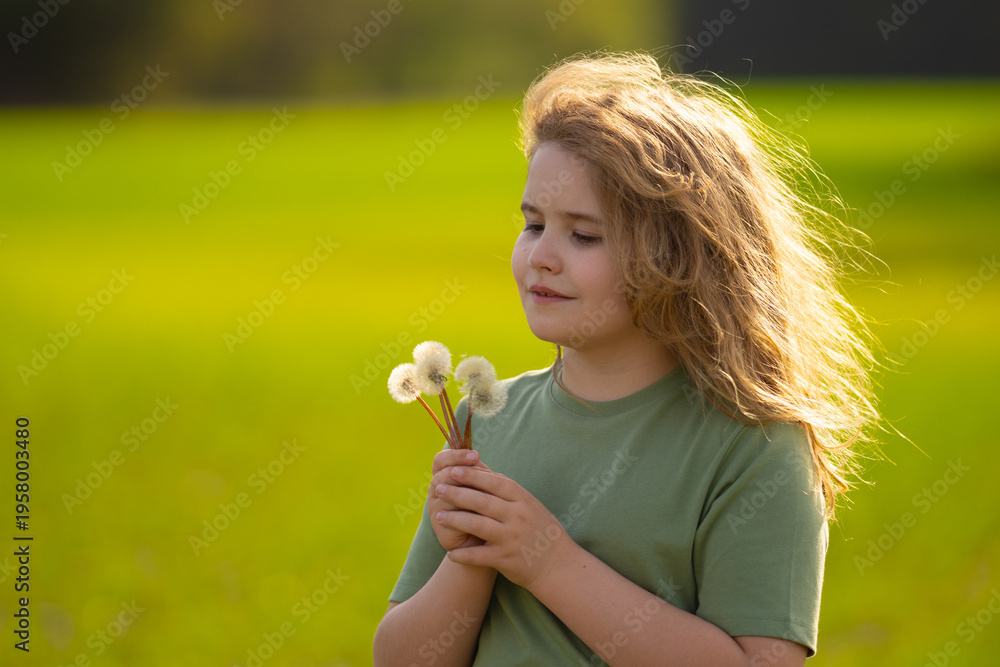 Fototapeta premium Child blowing dandelion. Innocence childhood happiness. Child blowing dandelion. Nature eco environmental. Child blowing dandelion. Garden meadow green. Child blowing dandelion.