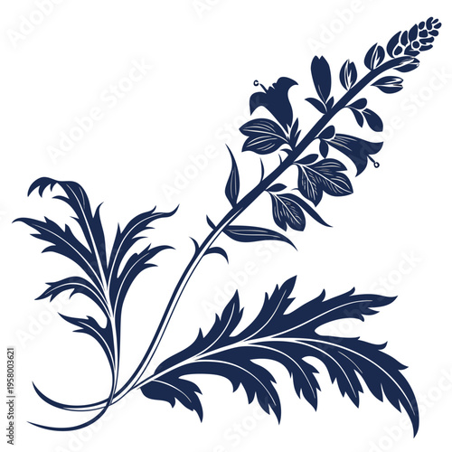 Fotografie acanthus mollis flower silhouette on white background