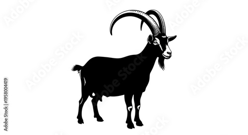 Silhouette of a majestic ibex with large curved horns.