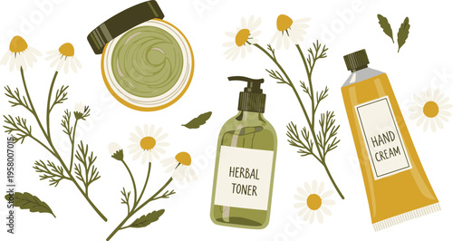Natural Chamomile Skincare Vector Set with Organic Face Cream Jar, Herbal Toner Pump, Hand Cream Tube, and Fresh Daisy Botanical Illustrations