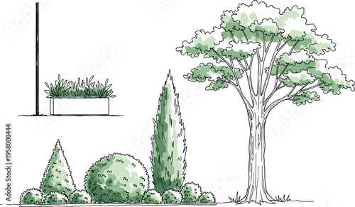 Illustrated landscaping elements including planter box, shaped bushes, conical tree, and large deciduous tree with green foliage, representing gardening, nature, and outdoor design