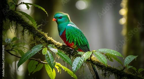 Vibrant resplendent quetzal perched on a mossy branch amidst the lush foliage of a tropical rainforest