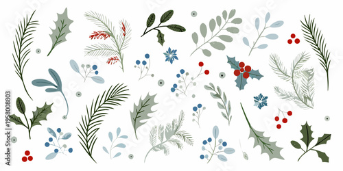 A collection of illustrated botanical elements with berries and leaves