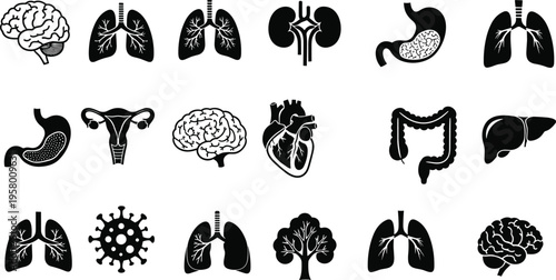 Silhouette illustration of human organs and biological elements including brain, heart, lungs, stomach, liver, kidneys, uterus, and virus symbol