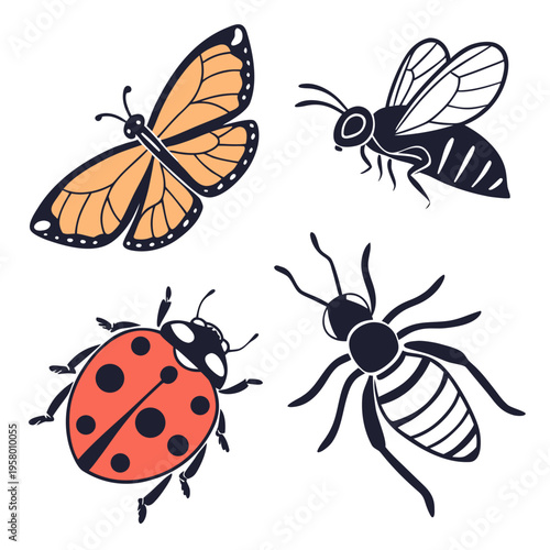 Insects including butterfly, bee, ladybug and ant