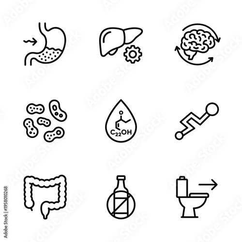Medical Health Icons Representing Digestion And Body Systems.