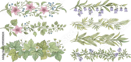 Hand-drawn watercolor botanical elements set featuring various floral sprigs and leafy borders. Elegant decorative natural illustrations for design projects