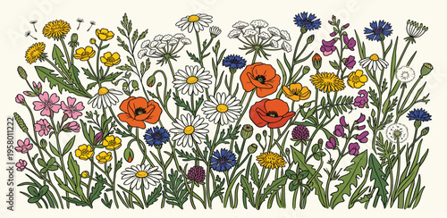 A vibrant and colorful illustration of a wildflower meadow bursting with diverse blooms and lush greenery, perfect for nature-themed designs