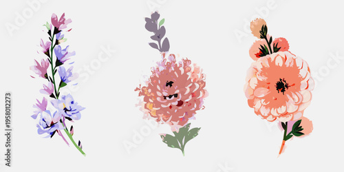 Stylized floral illustration featuring larkspur and ranunculus blooms