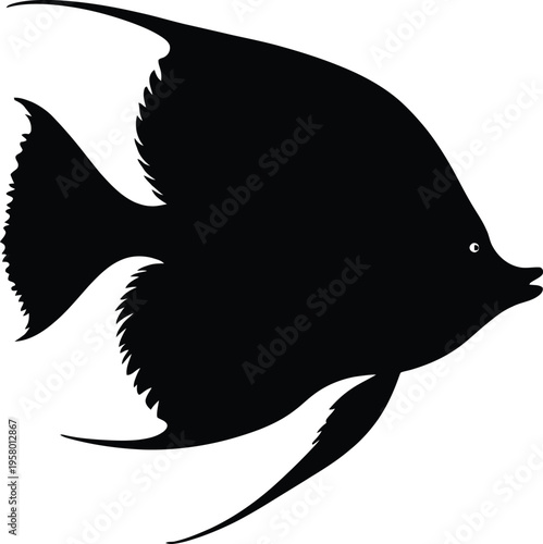 Cute cartoon a illustrator silhouette angelfish
