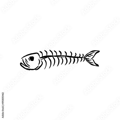 Fish skeleton bone, Hand drawn line art vector sketch illustration