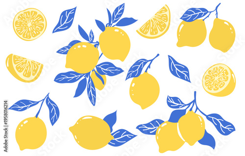 Lemon Vector Set with Citrus Fruits, Slices and Leaves in Bright Blue and Yellow Colors. Flat Style Hand drawn Illustrations