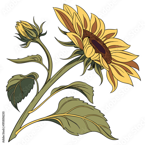 A large sunflower with leaves and a bud