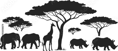 African savanna silhouettes, elephants, giraffe, rhinoceroses, acacia trees, wildlife scene, biodiversity, nature illustration, safari animals, ecosystem, conservation, natural habitat