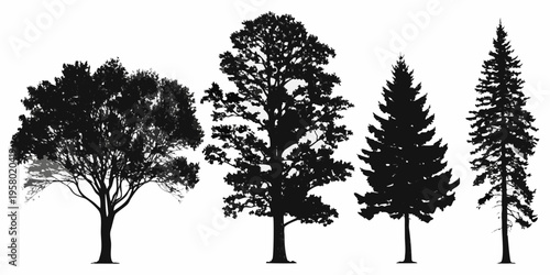 Silhouettes of four different trees against a stark white background