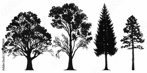Silhouettes of various trees against a stark white background