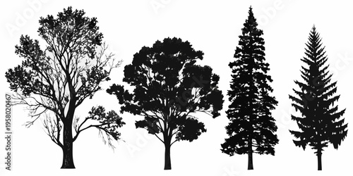 Silhouetted trees of varying species against a white background