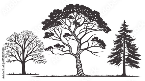 A set of vector illustrations of deciduous trees. Tree, branches, leaves. Nature protection, Greenpeace. Landscape design.