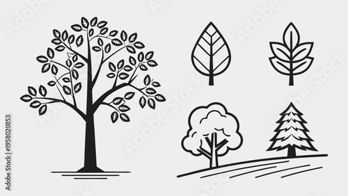 A set of vector illustrations of deciduous trees. Tree, branches, leaves. Nature protection, Greenpeace. Landscape design.