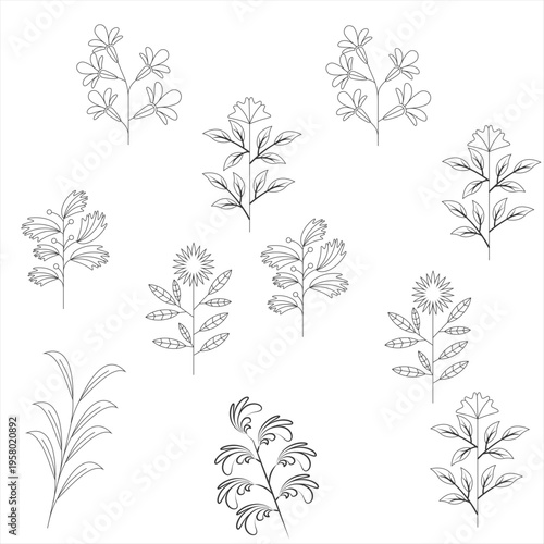 Vector Plant and Flower Silhouettes. A set of diverse black-colored vector flowers on a transparent background.