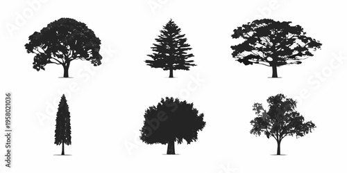 Collection of six black silhouette trees with varied shapes and forms