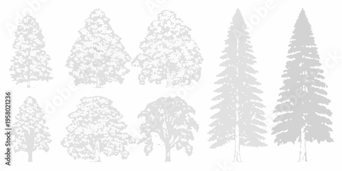 Silhouetted collection of various tree types in grayscale tones