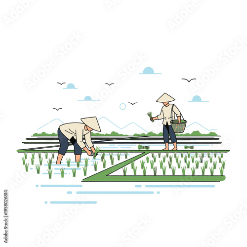Farmers working in rice paddy fields wearing conical hats.