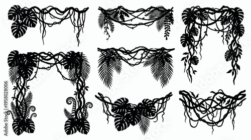 Set of black silhouettes of hanging jungle lianas with monstera and palm leaves on white background, concept for decorative border, botanical frame and wildlife conservation graphics