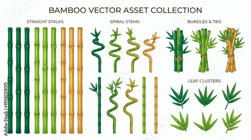 Bamboo plant vector asset collection including straight stalks, spiral stems, tied bundles and green leaf clusters, concept for wellness branding, natural environment and zen decoration