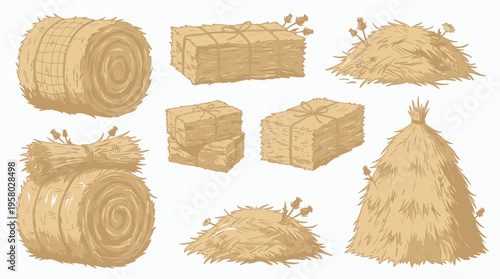 Vintage hand drawn hay bales and haystacks in various shapes including round and rectangular bundles isolated on white, concept for agriculture education, farm branding and harvest marketing