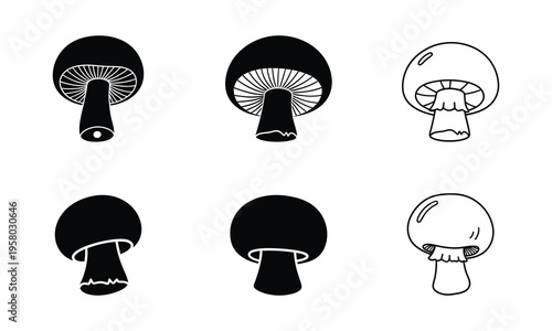 Black and white mushroom illustrations in various stages