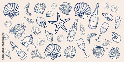 A collection of sketched seashells starfish champagne bottles and glassware