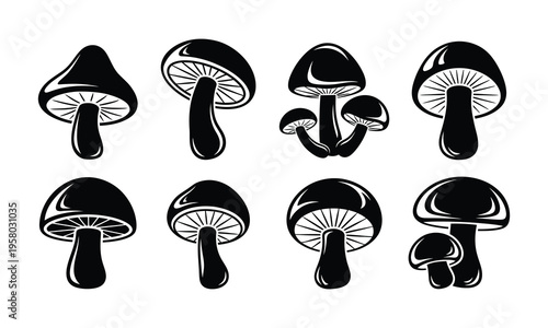 A collection of various mushroom species illustrations