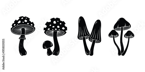 A black and white illustration of various mushroom species