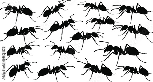Black Ant Silhouette Collection, Worker Ant Colony Set In Various Poses, Pest Control And Teamwork Concept, Flat Vector Illustration