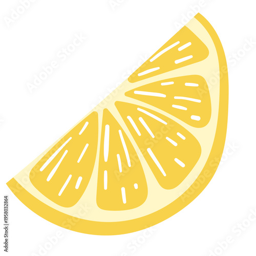 Lemon Slice and Wedge. Vector Flat Style Hand drawn Illustrations