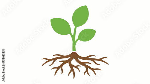 Stylized illustration of a young green plant seedling with leaves and visible roots, symbolizing growth and nature.