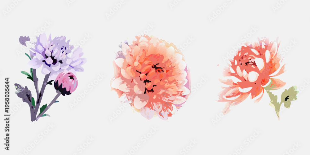 Fototapeta premium Watercolor floral arrangement featuring three blooming chrysanthemum flowers