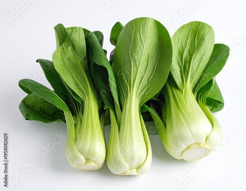 Fresh Organic Bok Choy on White Background.