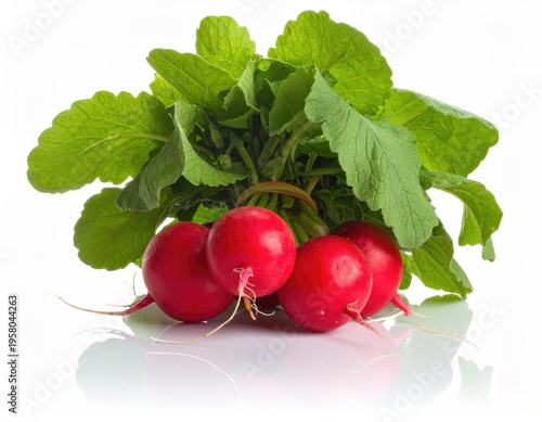 Fresh Red Radishes with Green Leaves Isolated on White Background.