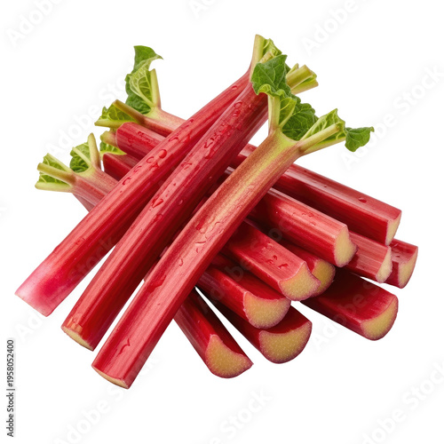 Fresh red rhubarb stalks with water droplets