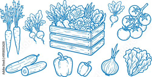 Fresh vegetables and fruits in a wooden crate with carrots beets tomatoes peppers onions and lettuce on a white background