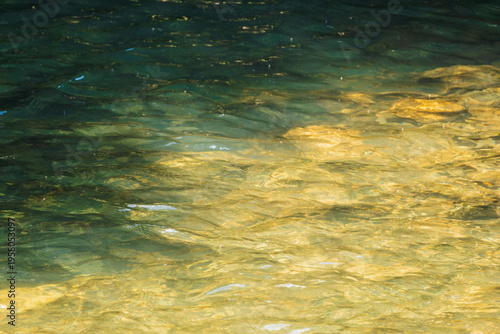 木陰の下を流れる清流のクローズアップ07