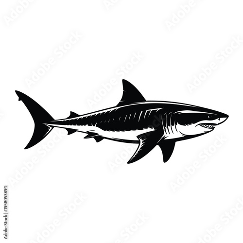 A black and white illustration of a shark swimming in water