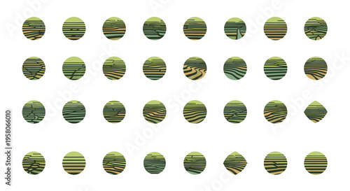 Collection of green striped golf balls.
