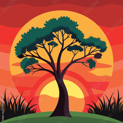 Sunset tree silhouette stands tall.