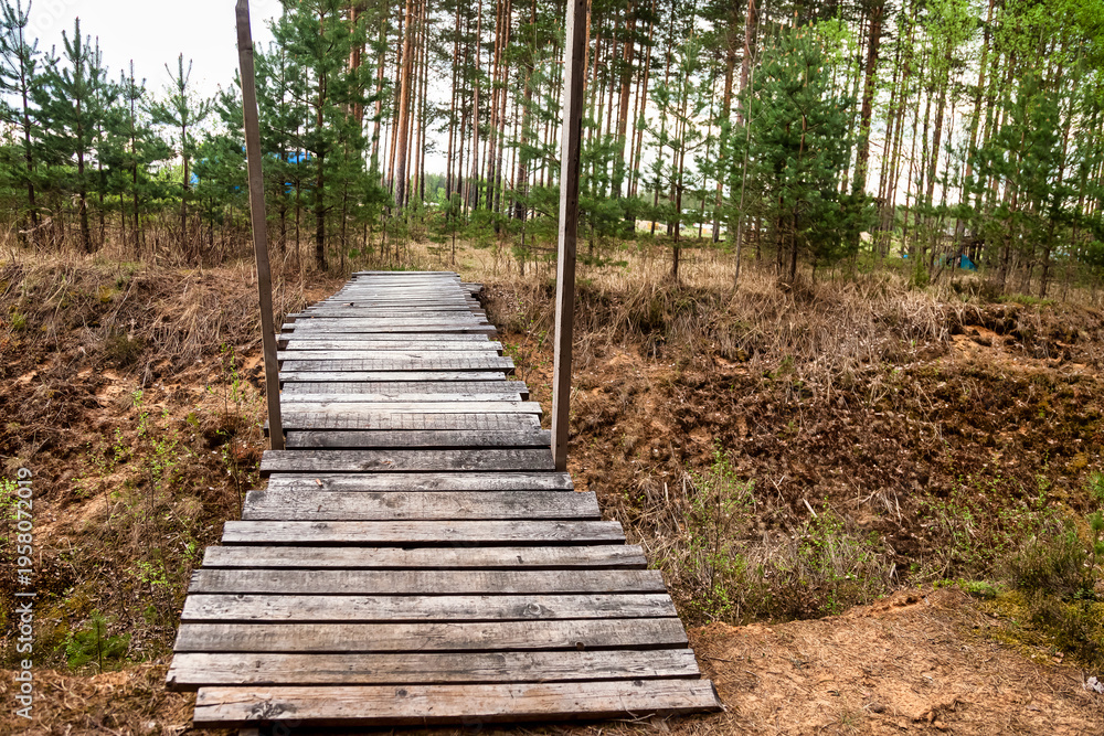 Obraz premium A charming wooden bridge stretches across a small ravine, inviting adventurers to explore the tranquil forest beyond. Green pines tower on both sides, creating a peaceful outdoor haven.