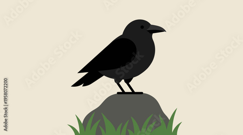 A simple cartoon illustration of a black crow perched on a grey rock with green grass.